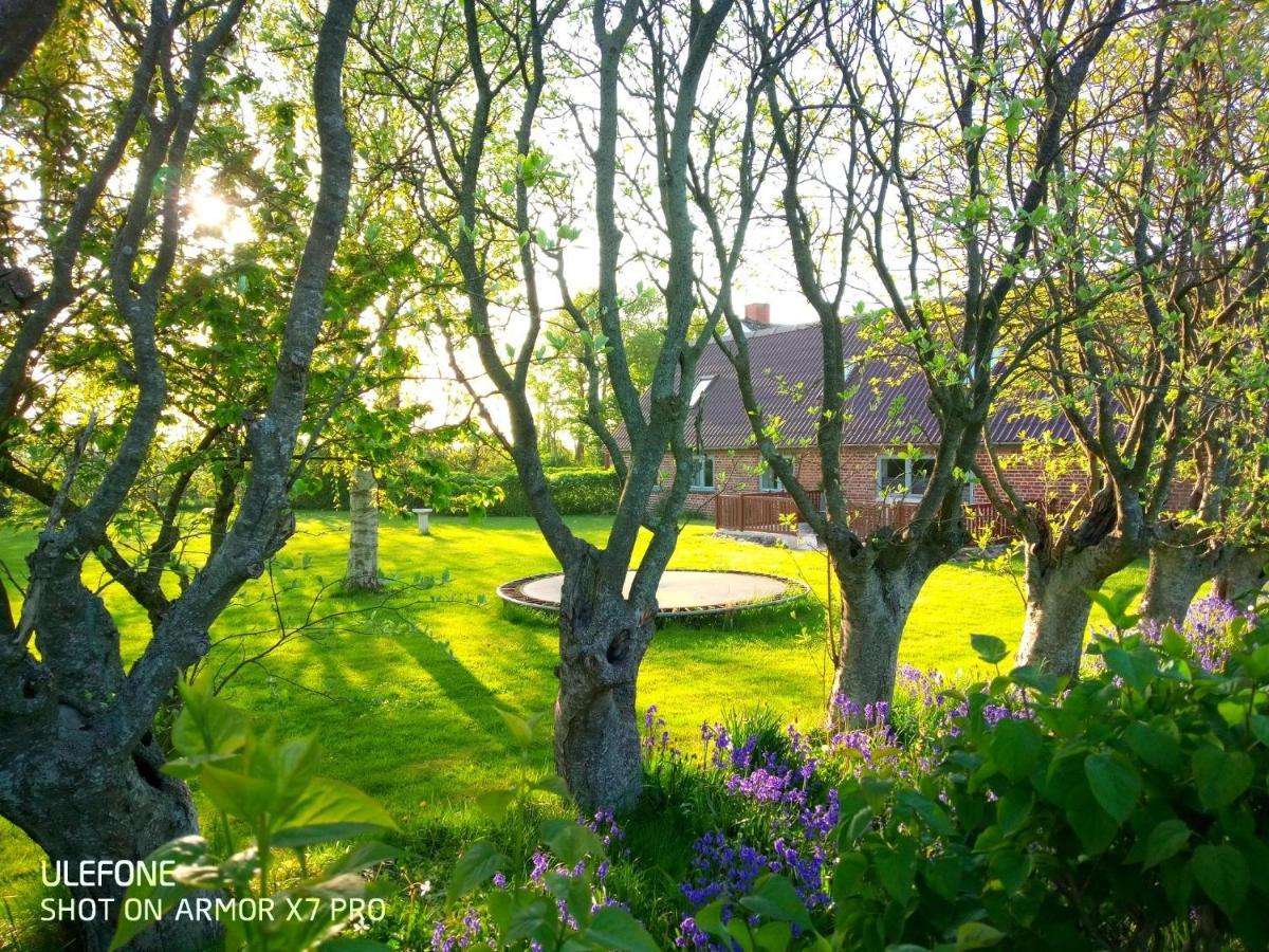 Lilleledgaard Country House Ringkøbing Dış mekan fotoğraf