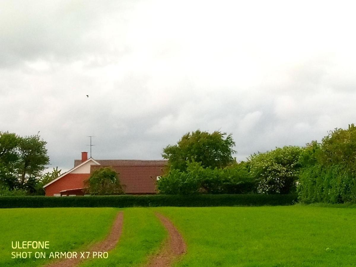 Lilleledgaard Country House Ringkøbing Dış mekan fotoğraf